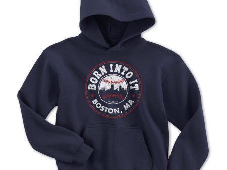 Born Into It Baseball Youth Hoodie Discount