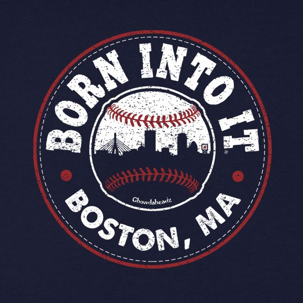 Born Into It Baseball Youth Hoodie Discount