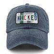 Wicked License Plate Washed Dad Hat on Sale