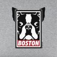 Boston Terrier Frame Youth T-Shirt For Cheap