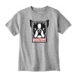 Boston Terrier Frame Youth T-Shirt For Cheap