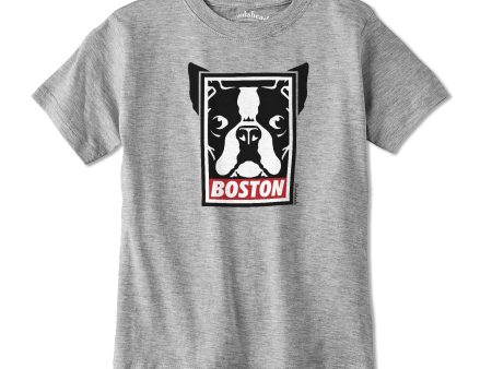 Boston Terrier Frame Youth T-Shirt For Cheap