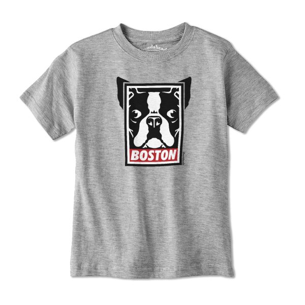 Boston Terrier Frame Youth T-Shirt For Cheap