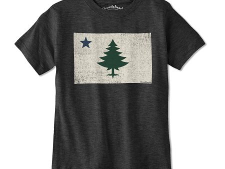 Vintage Maine Flag Youth T-shirt Hot on Sale