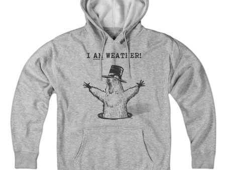 I Am Weather Hoodie Hot on Sale