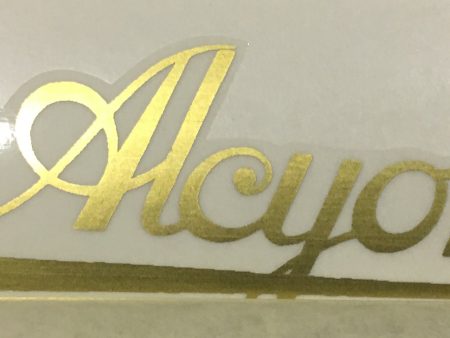 ALCYON script downtube in gold Fashion